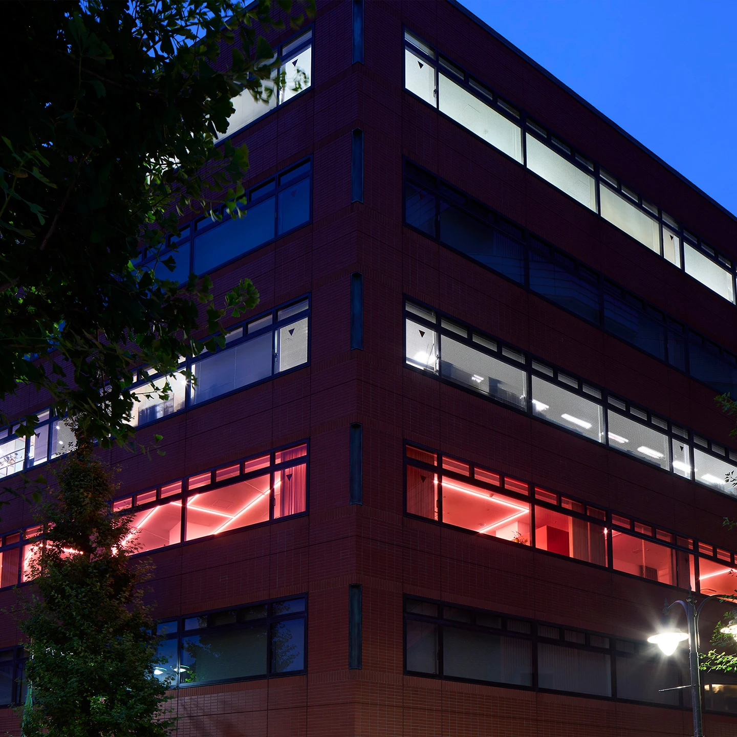 Careers at Shapefarm